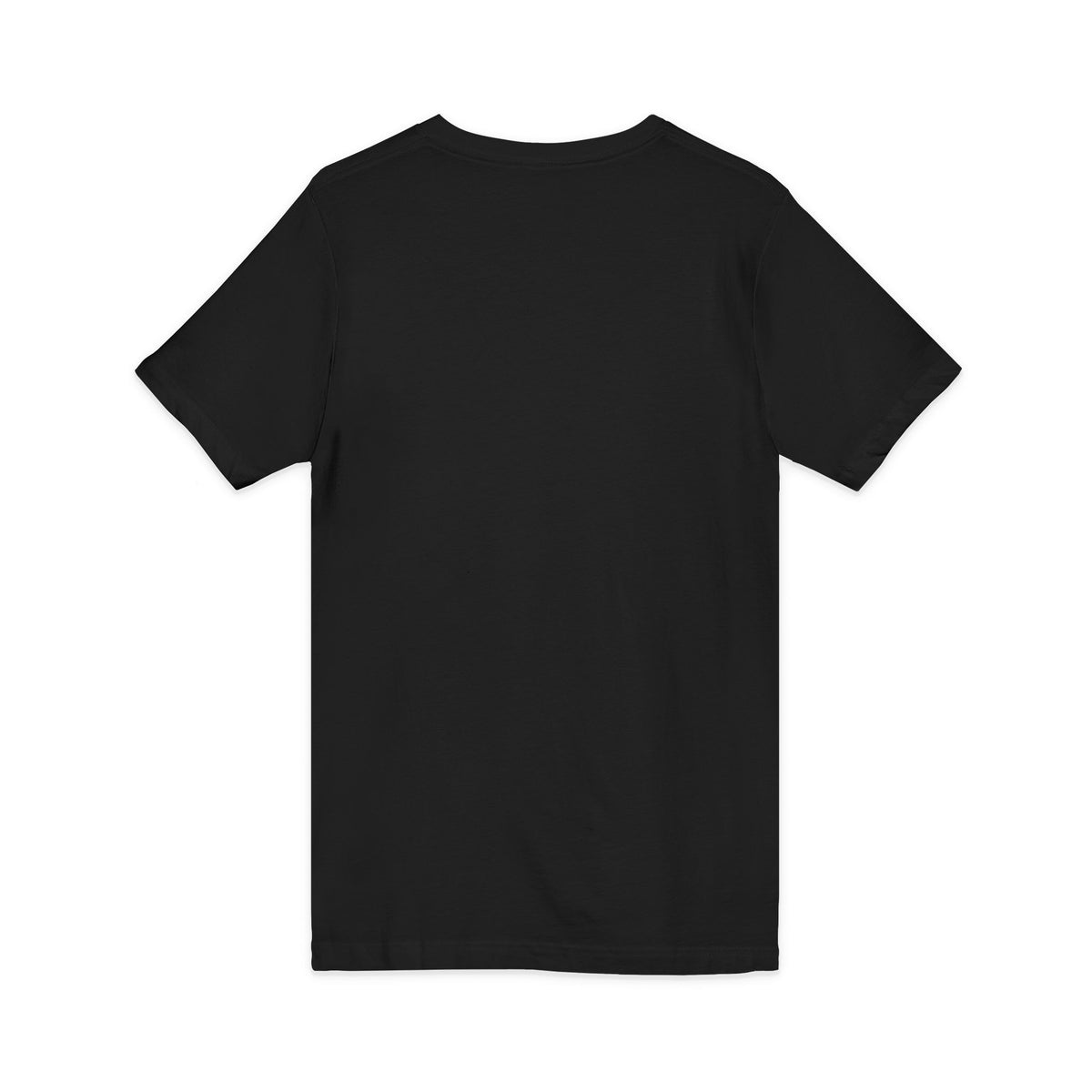 Grace & Verite Minimalist V-Neck Tee